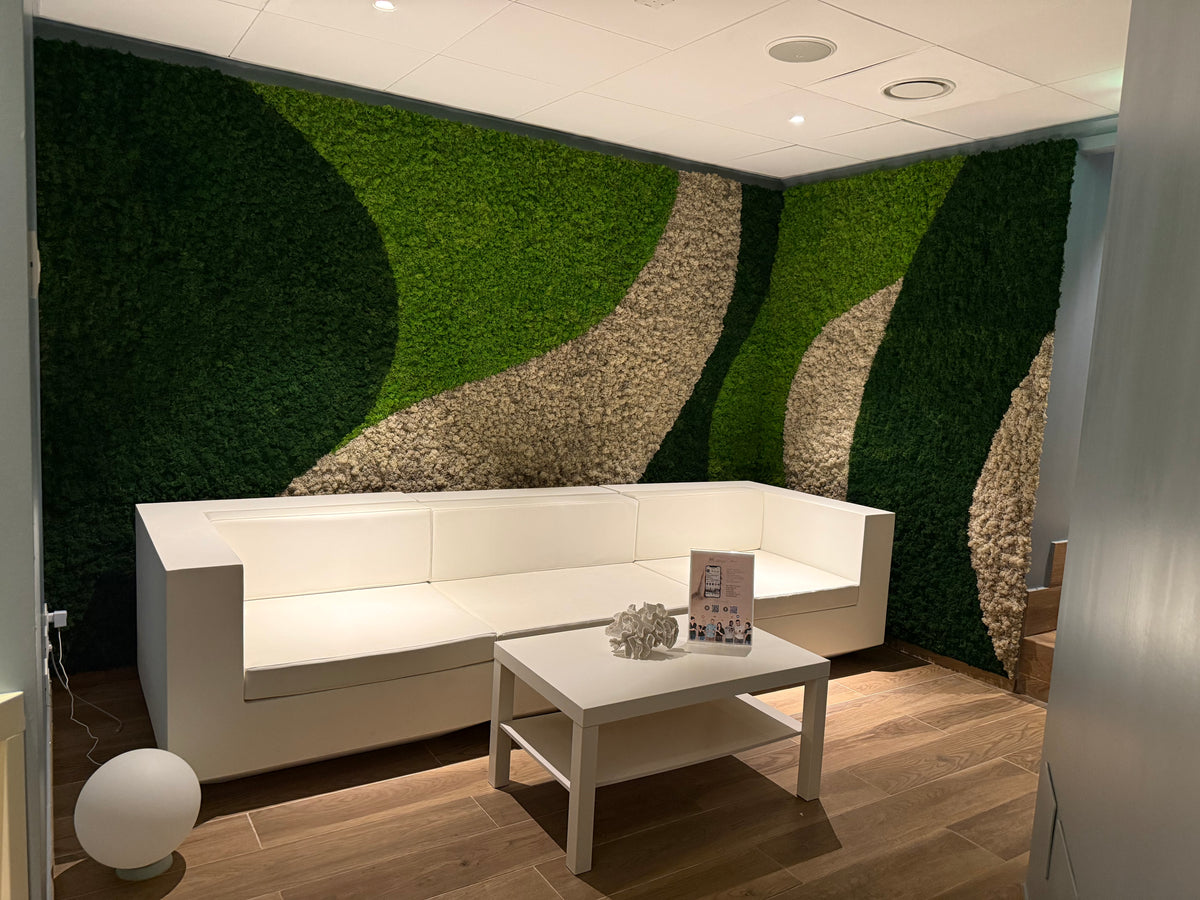 Reception con verde stabilizzato